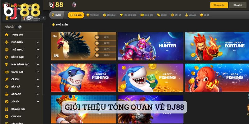 BJ88 Giới thiệu tổng quan về BJ88