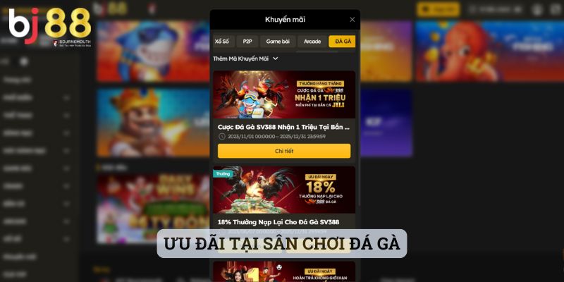 Khuyến mãi BJ88 Ưu đãi tại sân chơi đá gà