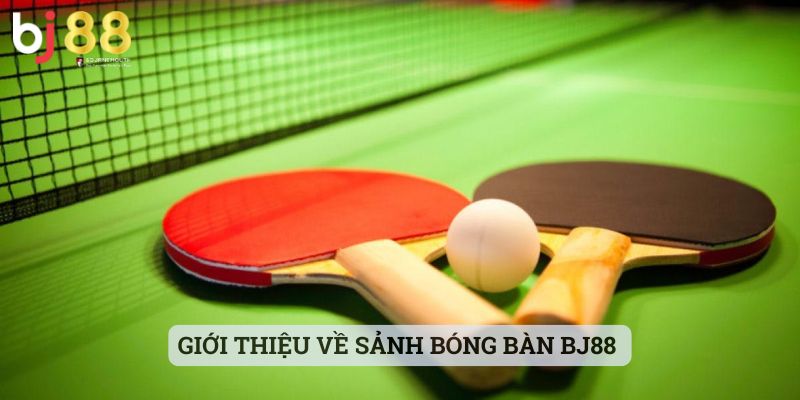 bóng bàn BJ88 Giới thiệu về sảnh bóng bàn BJ88