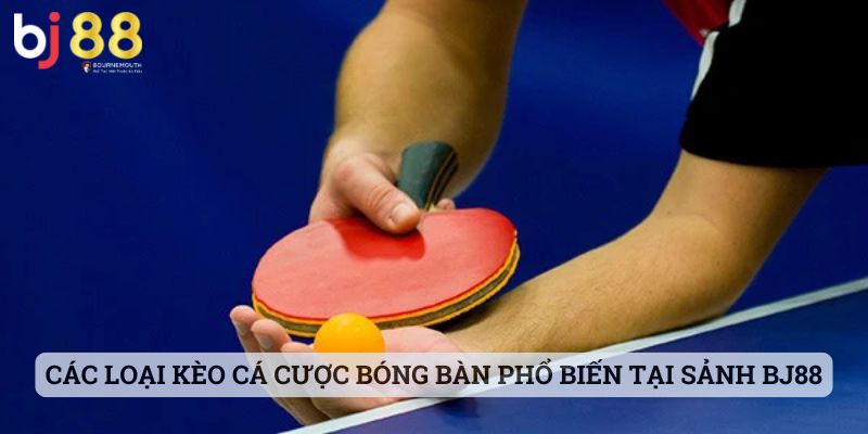 bóng bàn BJ88 Các loại kèo cá cược bóng bàn phổ biến tại sảnh BJ88