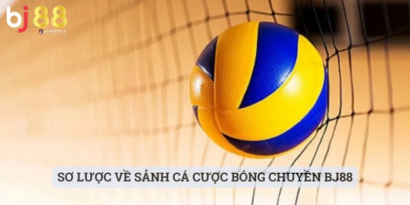 bóng chuyền BJ88 Sơ lược về sảnh cá cược bóng chuyền BJ88