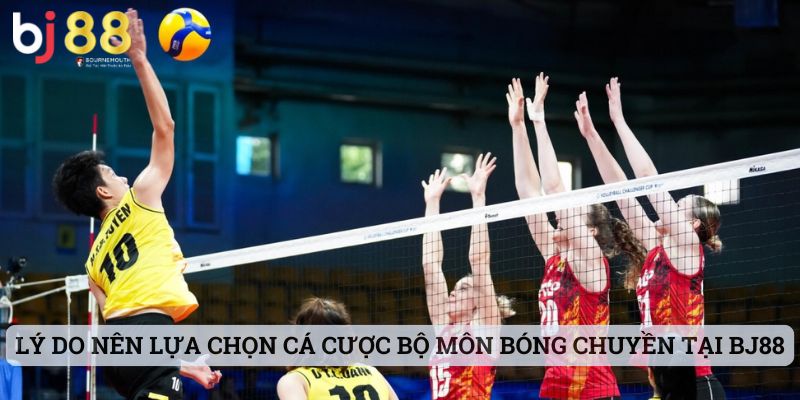 bóng chuyền BJ88 Lý do nên lựa chọn cá cược bộ môn bóng chuyền tại BJ88