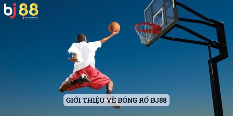 bóng rổ BJ88 Giới thiệu về bóng rổ BJ88