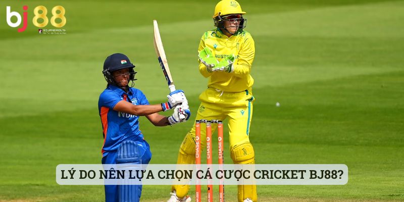 Cricket BJ88 Lý do nên lựa chọn cá cược Cricket BJ88?