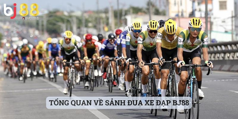 đua xe đạp BJ88 Tổng quan về sảnh đua xe đạp BJ88