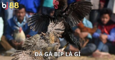 đá gà bịp là gì
