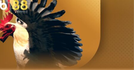 đá gà đen là gì