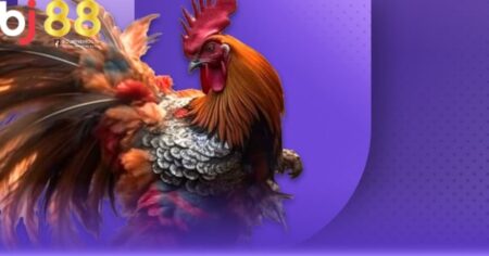 đá gà mạng là gì