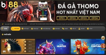 đá gà thomo BJ88