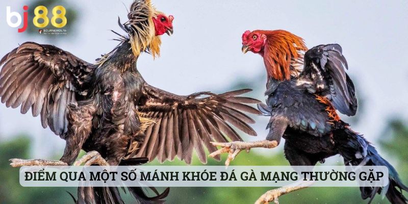 mánh khóe đá gà mạng Điểm qua một số mánh khóe đá gà mạng mà anh em thường gặp