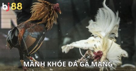 mánh khóe đá gà mạng