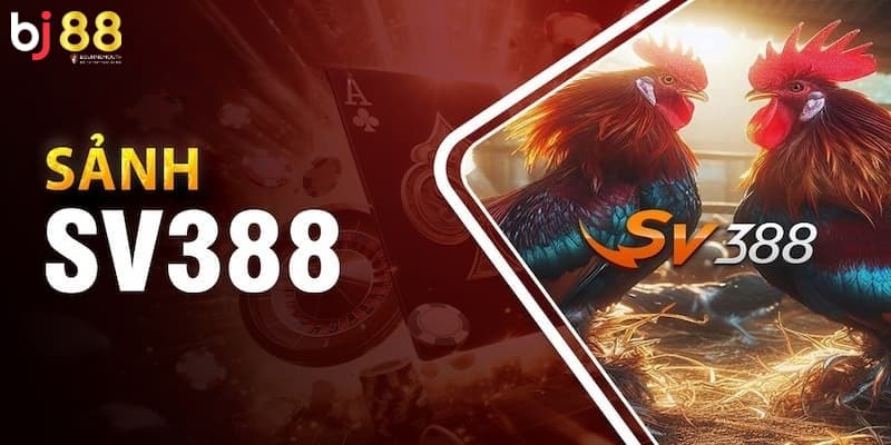 Sảnh SV388 BJ88 Sảnh SV388 BJ88