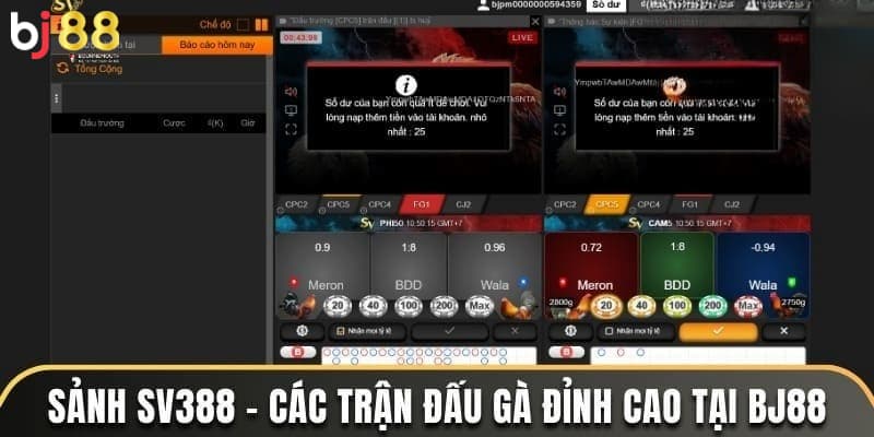 Sảnh SV388 BJ88 Sảnh SV388 BJ88