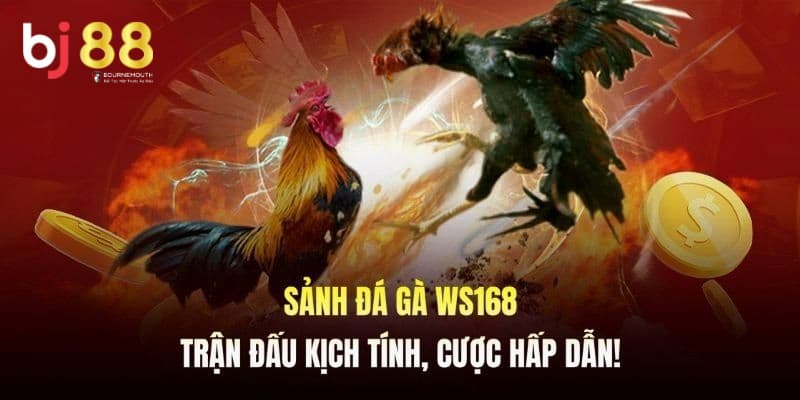 sảnh WS168 BJ88 sảnh WS168 BJ88